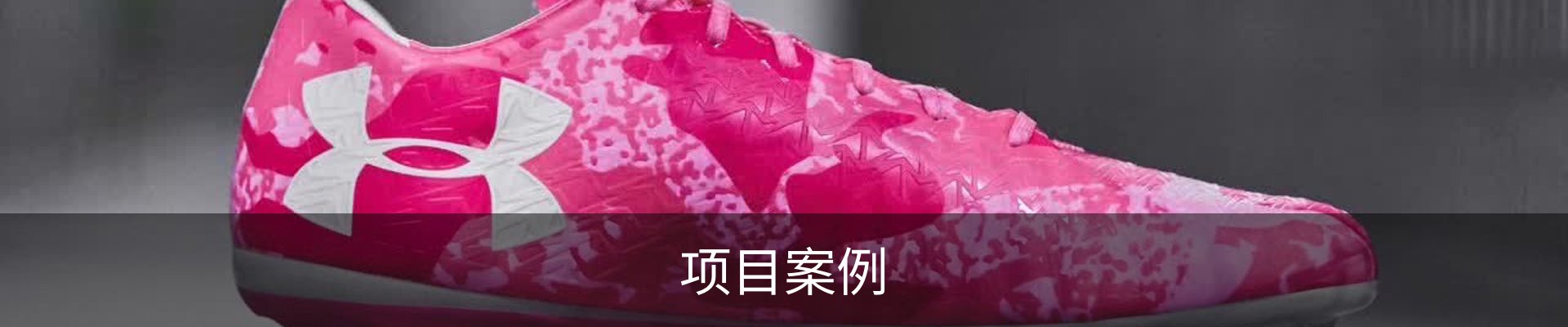 项目案例